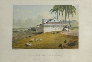 Bryan Castle, illustratie uit 