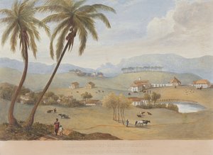 Haughton Court, Hanover, Jamaica door James Hakewill