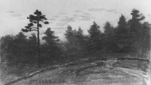 Landschap uit McGuire Scrapbook