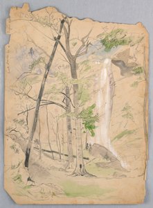 Waterval door James Henry Moser