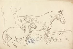Paard en pony door James Howe