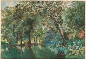 Bomen over de rivier Frome bij Stapleton