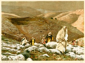 Jezus gaat naar Jeruzalem - Sint Johannes, Bijbel