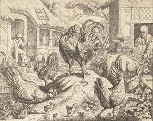 De haan en de kostbare steen, uit Aesopus
