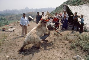 Een zigeunerbeeract repeteert voor een kermis met Romani-mensen. In de buurt van Istanbul, Turkije. door James L Stanfield