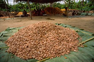 Een grote stapel cacaobonen (Geslacht: Theobroma, soort: cacao), die alre ad... door James L Stanfield