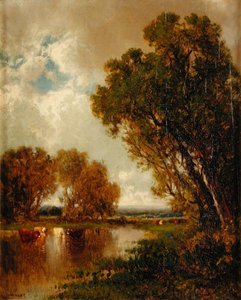 Koeien in landschap