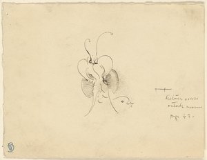 Vlinder door James McNeill Whistler