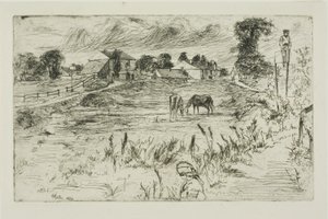 Landschap met paarden