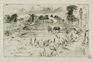 Landschap met Paarden