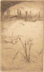 Zwaan en iris door James Abbott McNeill Whistler