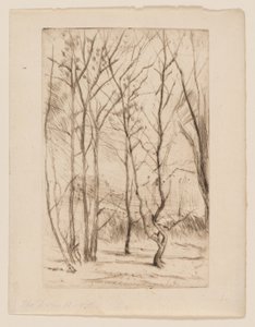 Het Damhout door James Abbott McNeill Whistler
