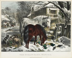 Stro-werf, Winter