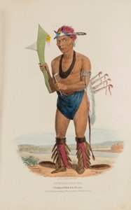 CUT-TAA-TAS-TIA; Een gevierd opperhoofd van de Fox stam, uit de Aboriginal Portfolio door James Otto Lewis
