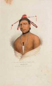 MA-KO-ME-TA of de olie van de beer; een Monomonie opperhoofd, uit de Aboriginal Portfolio door James Otto Lewis