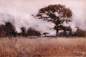 Wind door James Paterson
