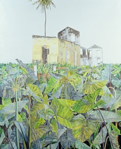 Ruïne in een Moeras, Haïti, 1971 door James Reeve