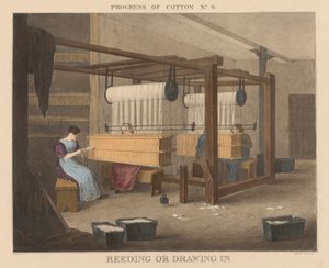 Voortgang van Katoen: #9 - Rieten of inrijgen door James Richard Barfoot
