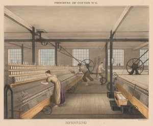 Voortgang van katoen, #6: Spinnen door James Richard Barfoot