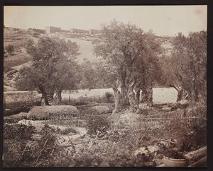 Getsemane [Jeruzalem. Olijfberg] door James Robertson