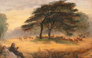 Liefhebbers in Richmond Park