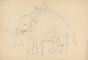 Olifant met ruiter door James Sowerby