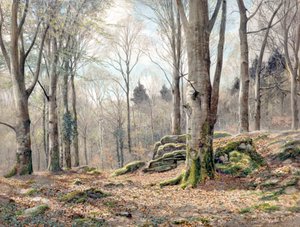 Een Wels Hout door James Thomas Watts