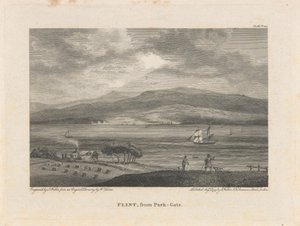 Flint, van Park-Gate