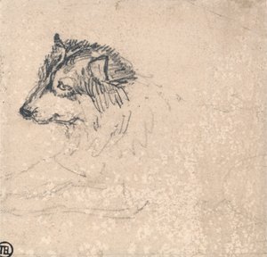 Poolhond, gezicht naar links door James Ward