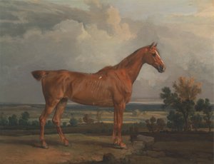 Jager in een landschap