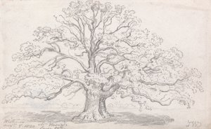 De grote eik van meneer Howard, 5 augustus 1820 door James Ward