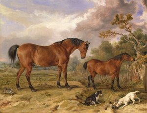 Portret van Reformer, Blucher, Tory en Crib, het eigendom van Rowland Alston, Esq., M.P.