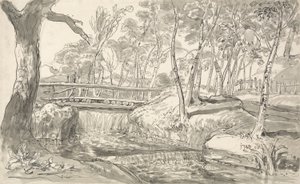 Rivierlandschap met Waterval