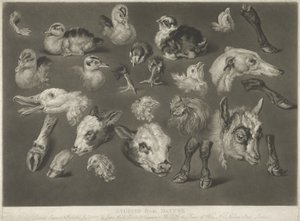 Studies uit de Natuur, 1807 door James Ward