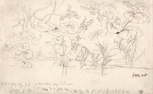 Studies van planten, 2 augustus 1815 door James Ward