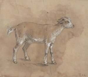 Studie van een geitje door James Ward