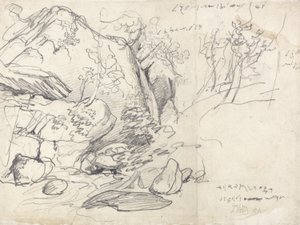 Studie van een berg met bomen