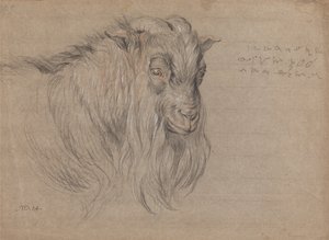 Studie van de kop van een ram door James Ward