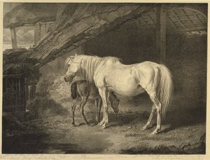 Primrose en veulen, uit Beroemde paarden, een set van veertien raceprenten gepubliceerd door de kunstenaar, 1823-24 door James after Ward