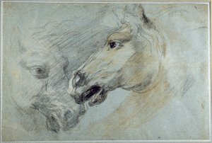 Twee studies van een paardenhoofd door Jan Boeckhorst