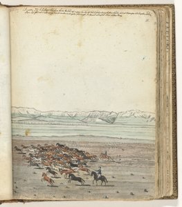 Kudde paarden door Jan Brandes