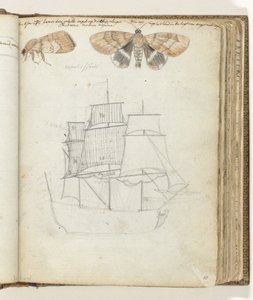 Vlinder en schip door Jan Brandes