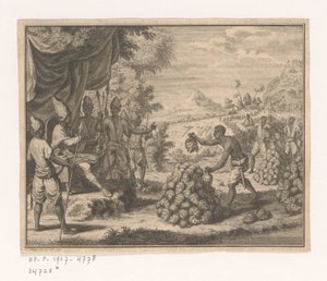 Koppensnellers