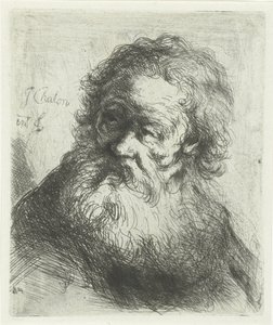 Oude man met baard