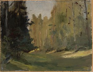 Mariino - Open plek in het bos