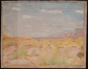 Steppe (Transkaspische regio). Van een reis naar Turkestan door Jan Ciągliński