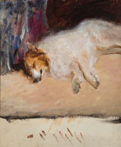 Studie van een slapende hond voor "Portret van prins Golitsyn" door Jan Ciągliński