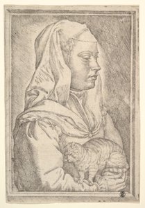 Meisje met een kat, 1546 door Jan Cornelisz Vermeyen