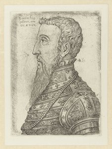 Portret van Hendrik II door Jan Cornelisz Vermeyen