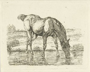 Drinkend paard door Jan Dasveldt